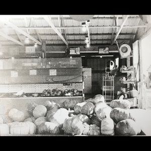 Wall Art- 8x10 black and white printed photograph